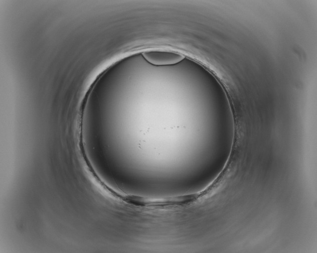 X0000112471526200908171148