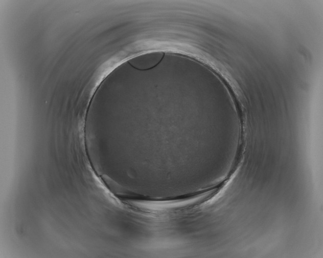 X0000112471529200908171148