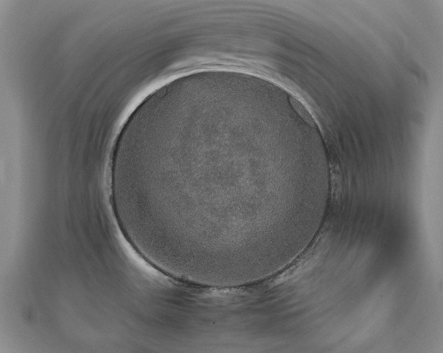 X0000112471531200908171148