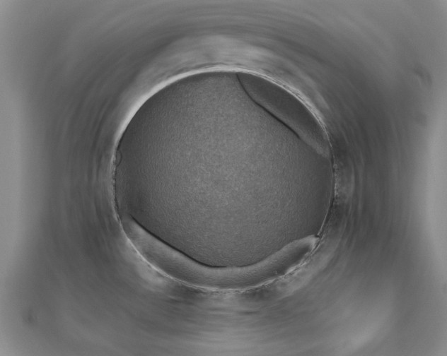 X0000112471532200908171148