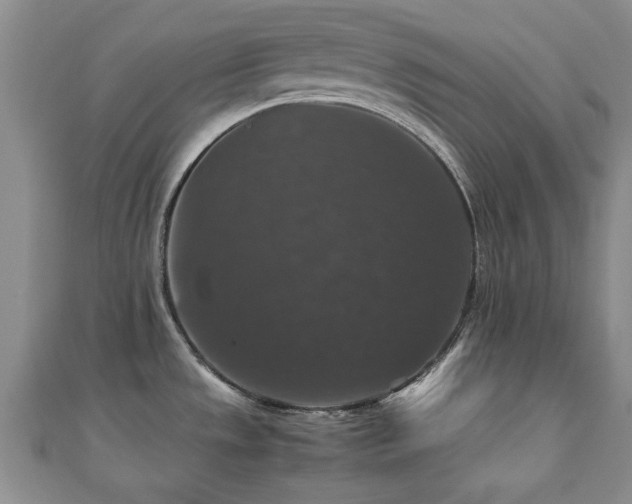 X0000112471533200908171148