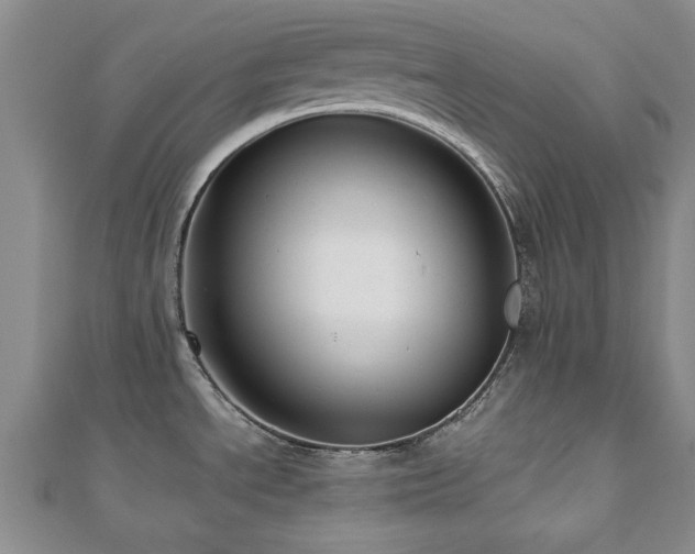 X0000112471534200908171148