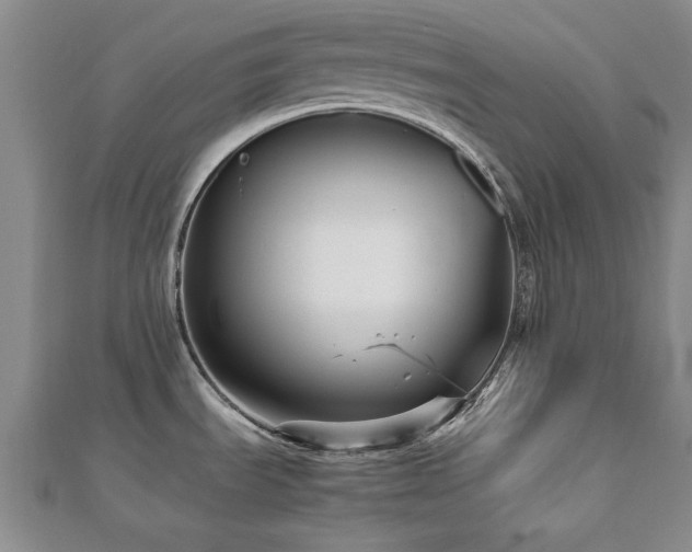 X0000112471535200908171148