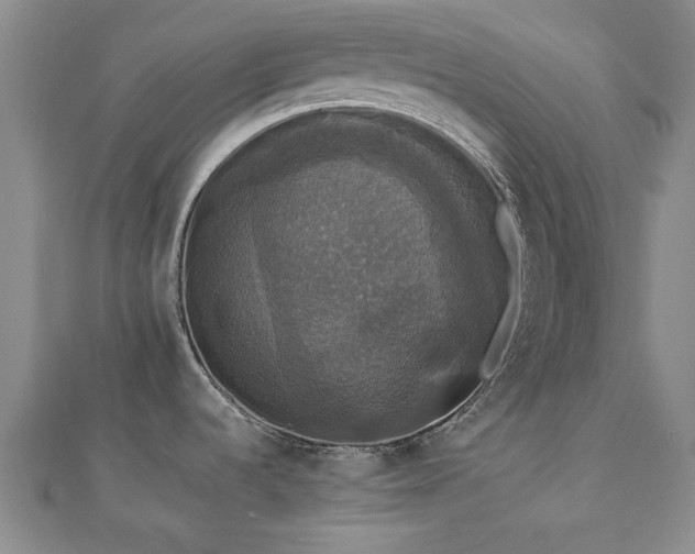 X0000112471536200908171148
