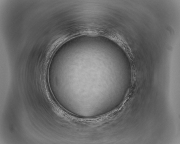 X0000112470001200908241242