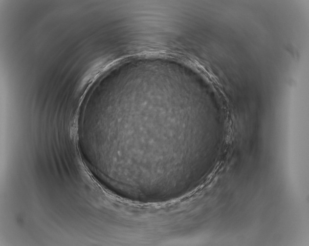 X0000112470002200908241242