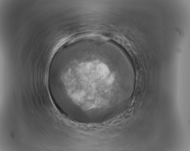 X0000112470003200908241242