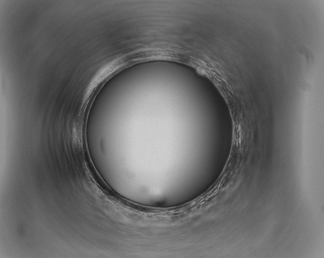 X0000112470004200908241242