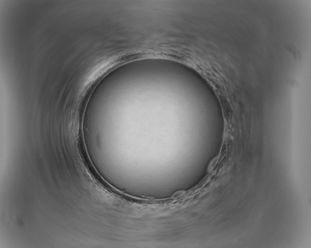 X0000112470005200908241242