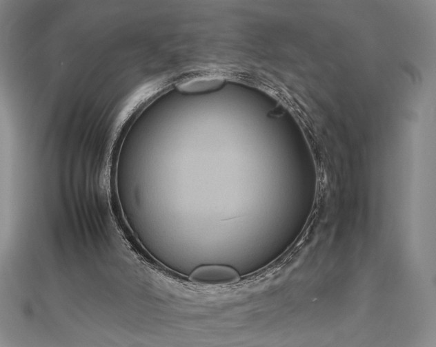 X0000112470006200908241242