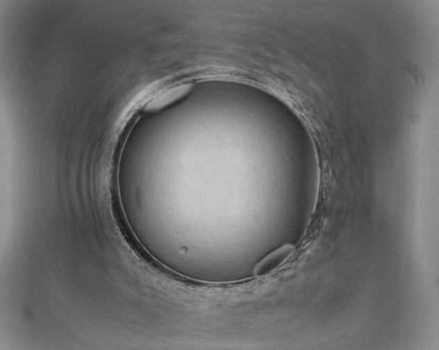 X0000112470007200908241242