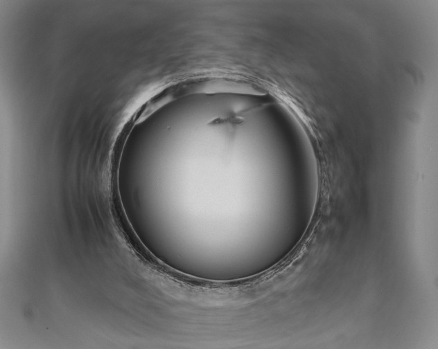 X0000112470008200908241242