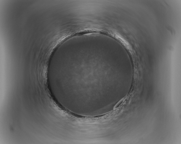 X0000112470009200908241242