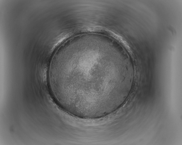 X0000112470010200908241242