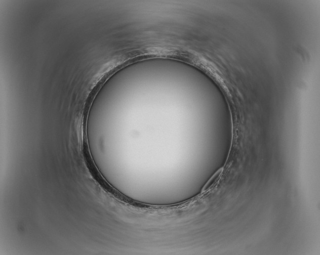 X0000112470011200908241242