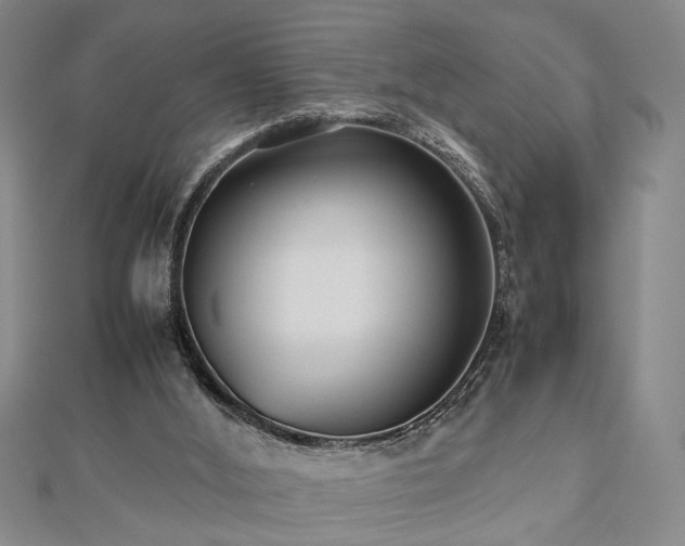 X0000112470012200908241242