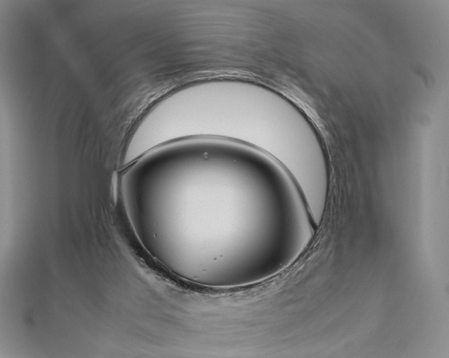 X0000112470013200908241242