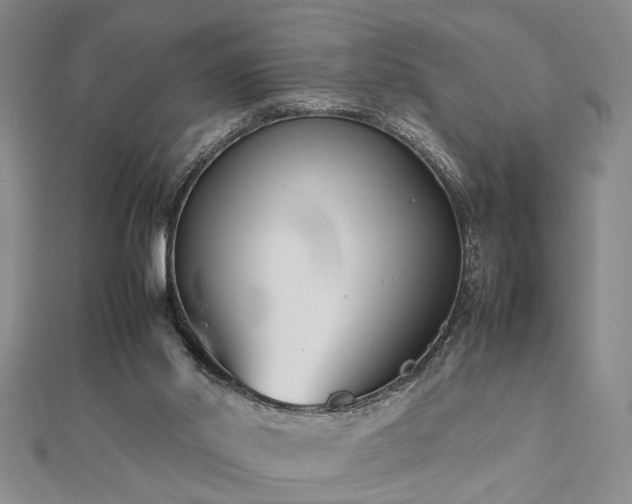 X0000112470014200908241242