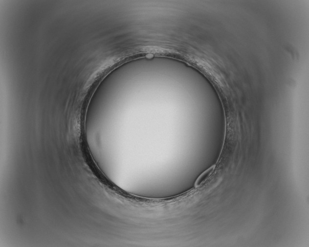 X0000112470015200908241242