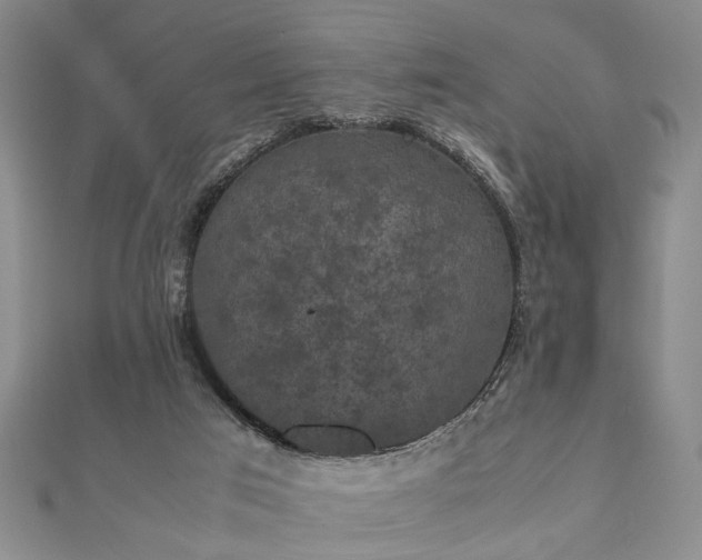 X0000112470017200908241242