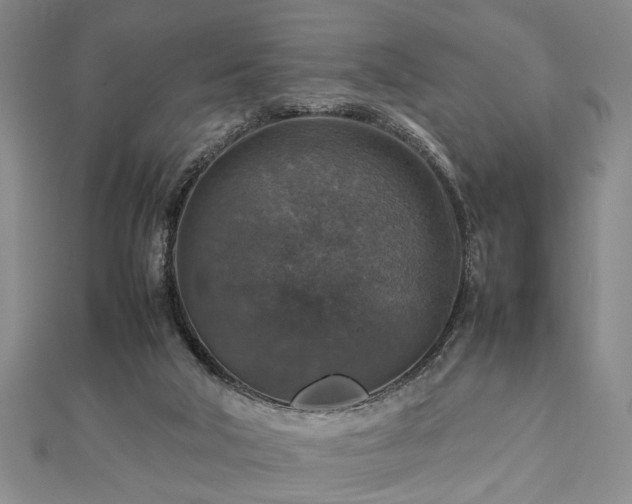 X0000112470018200908241242