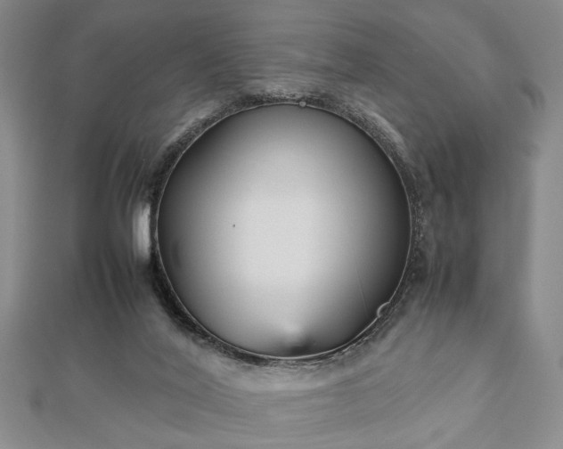 X0000112470020200908241242