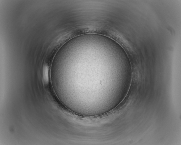 X0000112470022200908241242