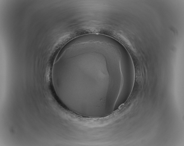 X0000112470023200908241242