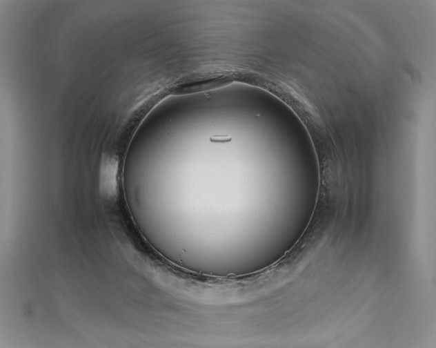 X0000112470024200908241242