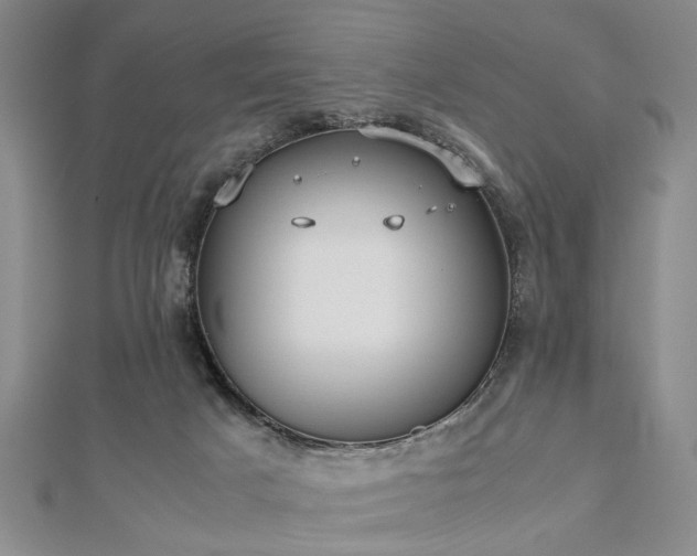 X0000112470025200908241242