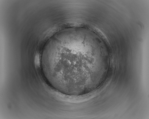 X0000112470026200908241242