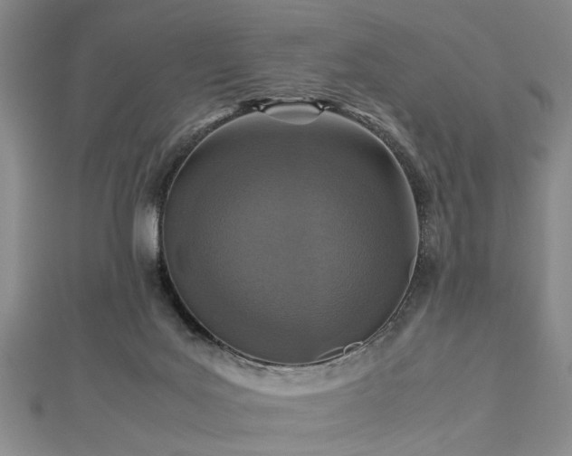 X0000112470027200908241242