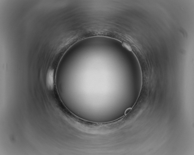 X0000112470028200908241242