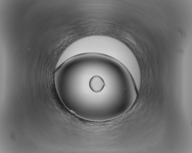 X0000112470029200908241242