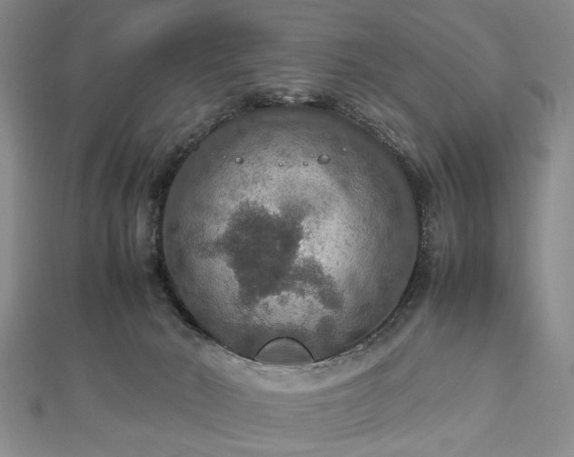 X0000112470030200908241242