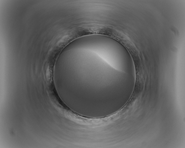 X0000112470031200908241242