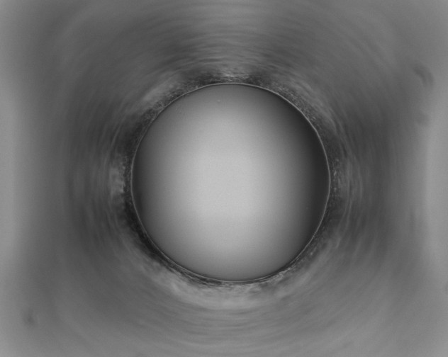 X0000112470032200908241242