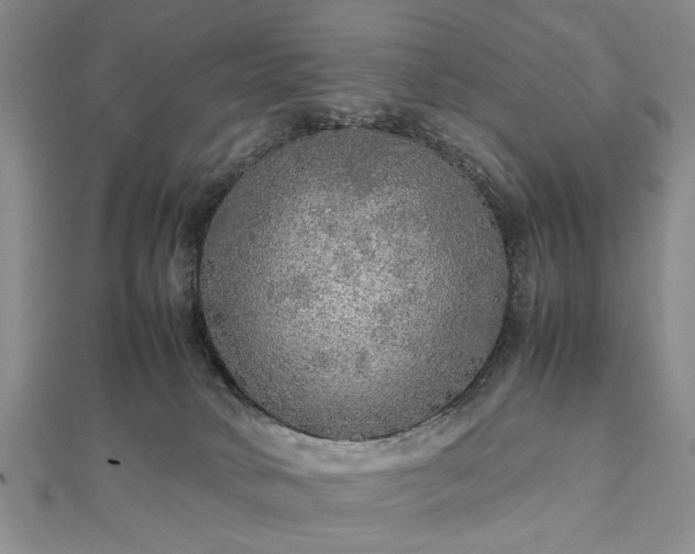 X0000112470034200908241242