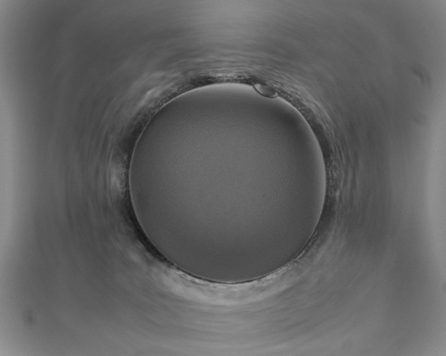 X0000112470035200908241242