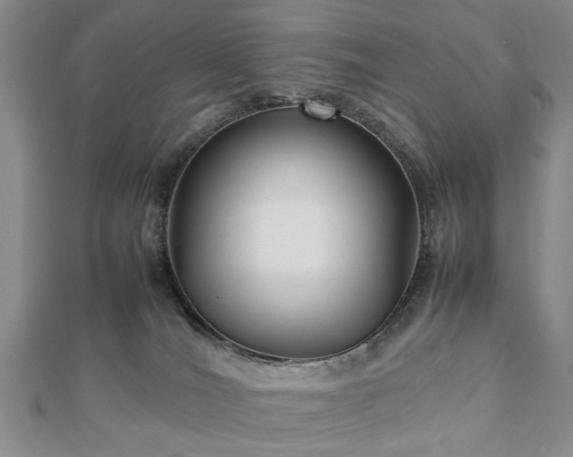 X0000112470036200908241242