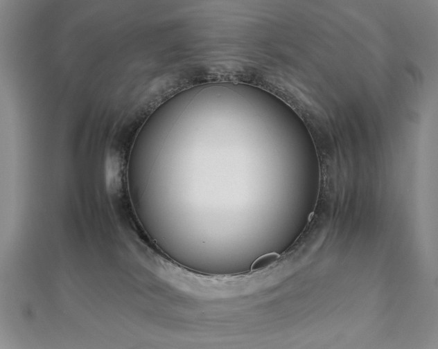 X0000112470038200908241242