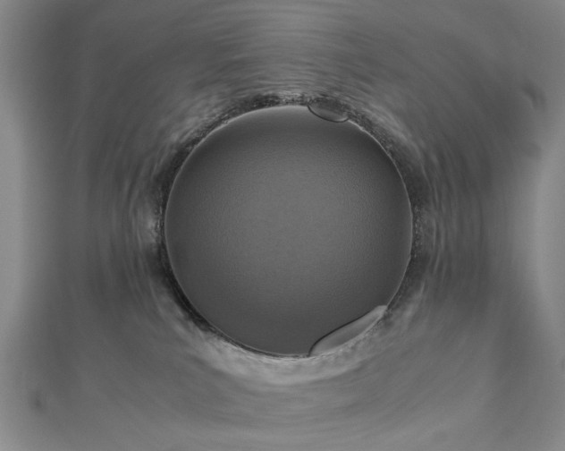 X0000112470039200908241242