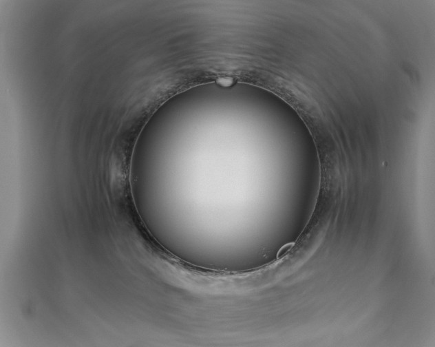 X0000112470040200908241242