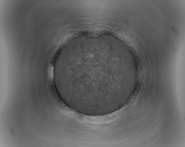 X0000112470041200908241242