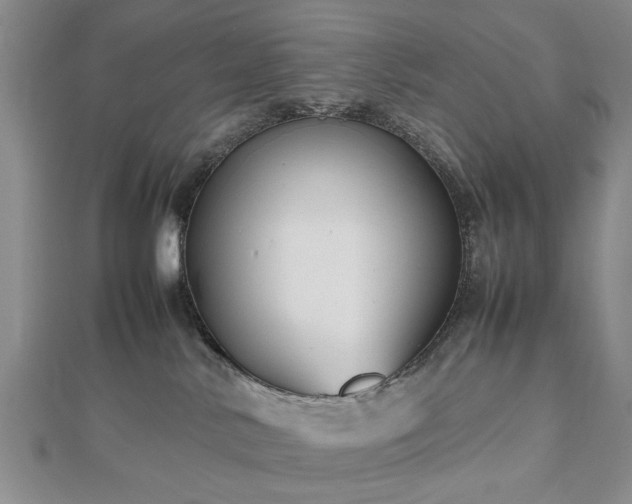 X0000112470042200908241242