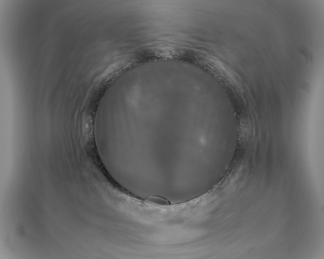 X0000112470043200908241242