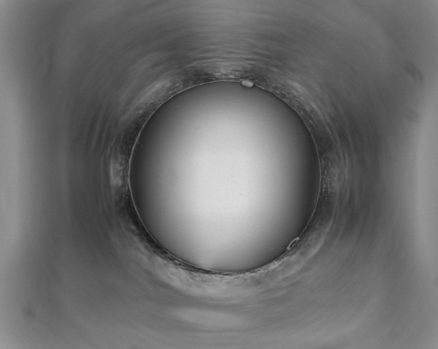 X0000112470044200908241242