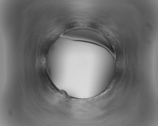 X0000112470045200908241242