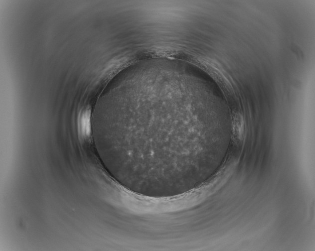 X0000112470046200908241242