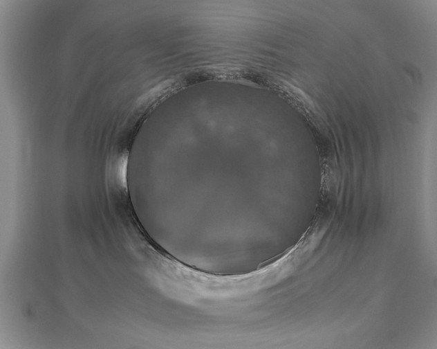 X0000112470047200908241242